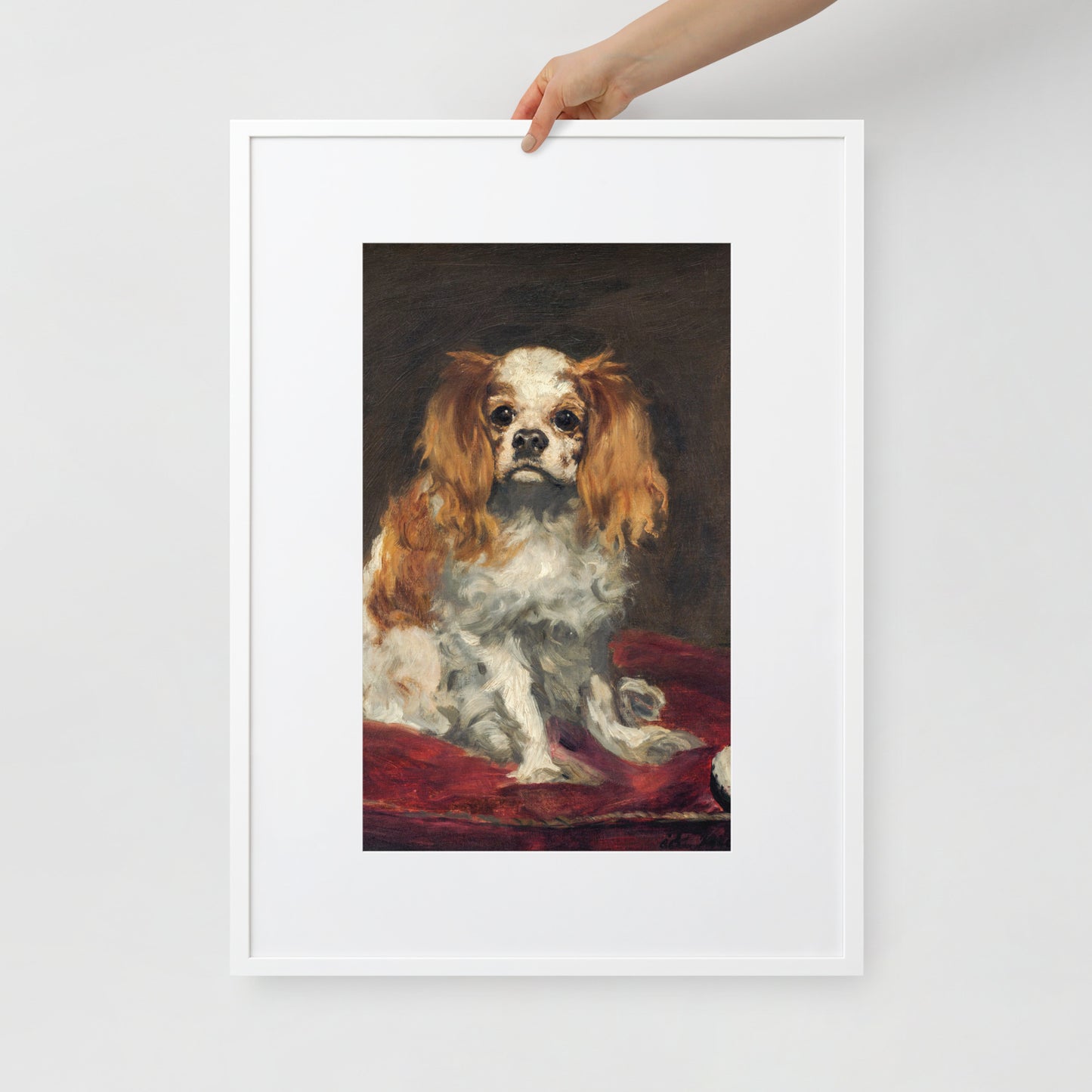 A King Charles Spaniel