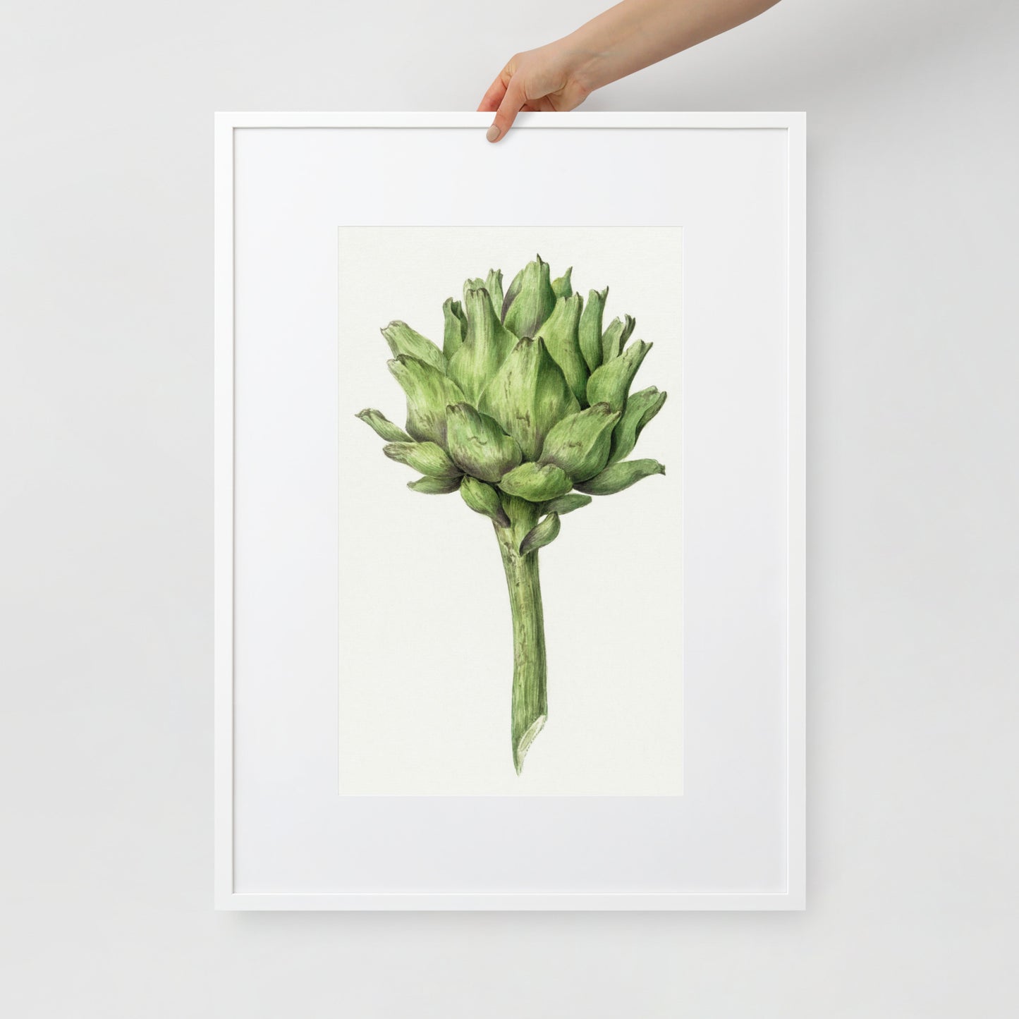 Artichoke