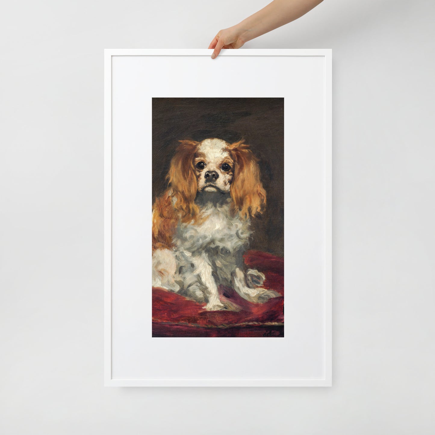 A King Charles Spaniel